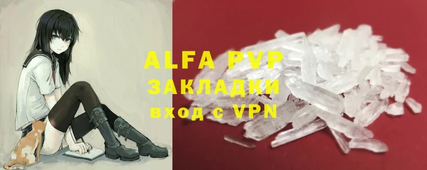 a pvp Новозыбков