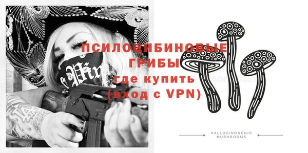 a pvp Новозыбков