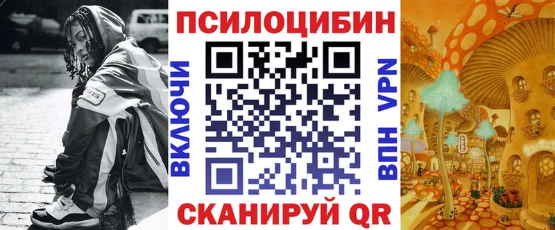 Псилоцибиновые грибы Psilocybe  Купить где  Таганрог 
